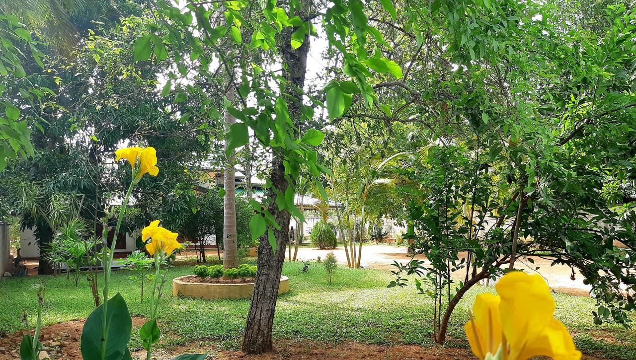 Tamarind Tamarind Resort, Tourist Board Approved Habarana Bagian luar foto